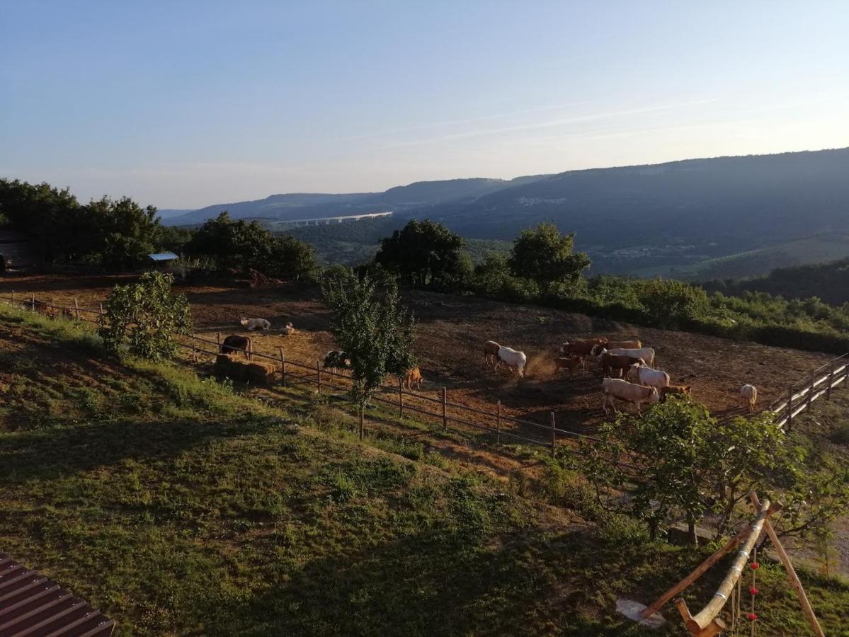 קופר Camping Jakomin מראה חיצוני תמונה